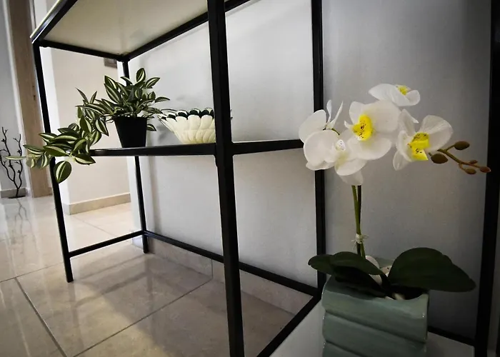 Appartement Nefeli *